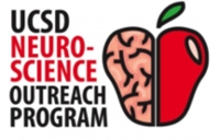 Logo for the UCSD Neuroscience Outreach Program. Logo depicts half a brain paired with half an apple with the words UCSD Neuroscience Outreach Program written next to the apple brain. 