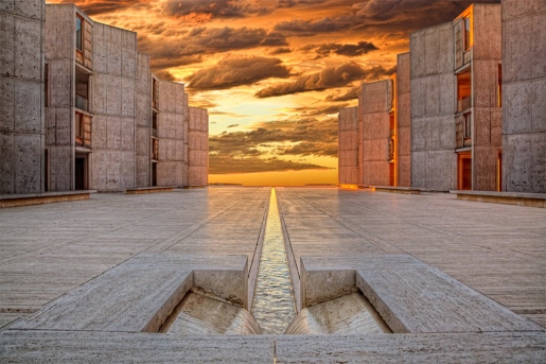 parnter-salk institute