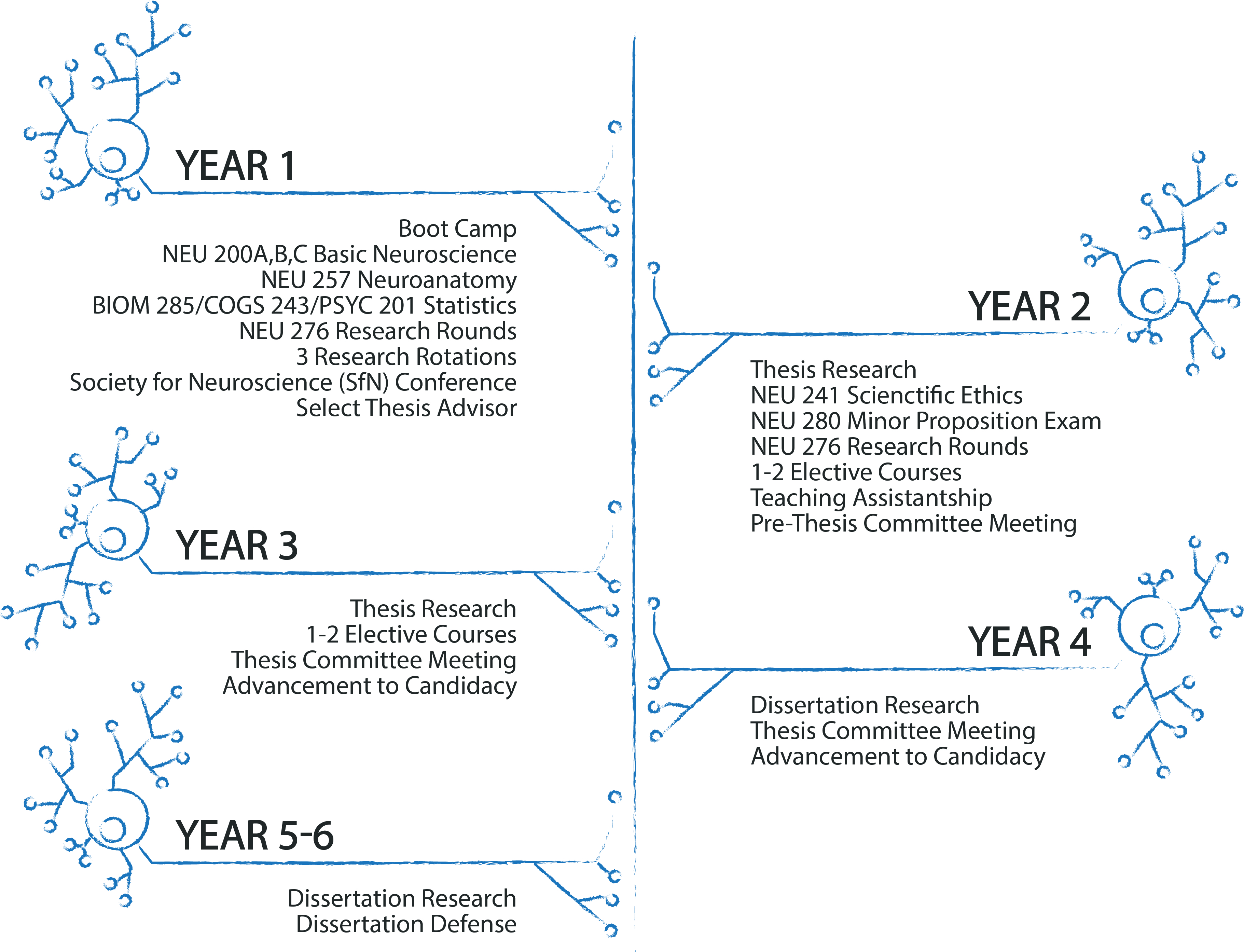 Timeline of NGP Program Requirements. Text can be found in the Student Handbook.