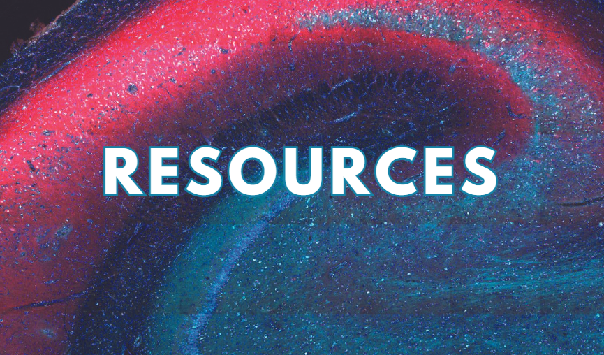 Other Program Resources 